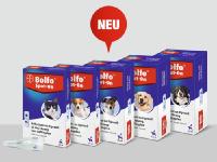 Neu in der Apotheke: Bolfo® Spot-on gegen Zecken und Flöhe