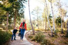 Herbstwandern im Chiemsee-Alpenland