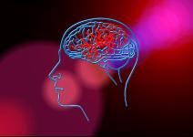 Change Process - Neurocoaching löst Schwierigkeiten auf der Management-Ebene