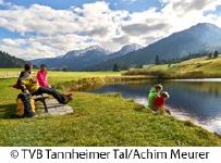 Der Frühling im Tannheimer Tal erstrahlt im satten Gelb