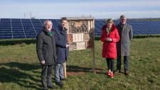 N-ERGIE stattet Photovoltaik-Kraftwerke mit Insektenhotels aus