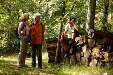 Wanderspaß im Weserbergland