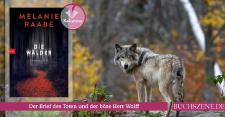 Ein Mann sucht manisch nach seiner verschwundenen Schwester. Plötzlich ist er tot. Doch eine Freundin erhält von ihm einen Brief