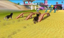Beste Freunde: "Hunde & Katzen 3D - Tierisch verspielt!"