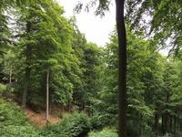Wildwanderung abseits der Touristenpfade