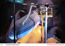 Frühjahrsputz XXL: Im OZEANEUM Stralsund wurden die Wale gesaugt