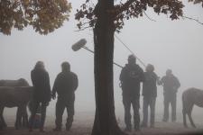 WildtierPark im Nebel