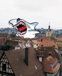 Vorsicht, wenn der Dach-Hai klingelt