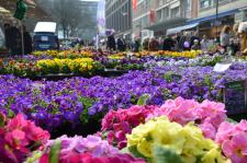 "KIEL BLÜHT AUF" mit verkaufsoffenem Sonntag (27.-28. April 2019)