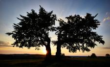 Aufregend, naturnah und abwechslungsreich