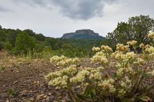 Ein Sneak Peek auf Fishers Peak