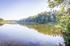 Ältestes Naturschutzgebiet Bayerns 80 Jahre alt