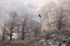 Ausgezeichnete Naturfotografien im Bundesamt für Naturschutz