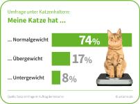 Mehrheit der Katzenhalter ist überzeugt: Meine Katze hat Normalgewicht