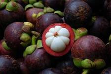 Mangostanfrucht stärkt das Immunsystem