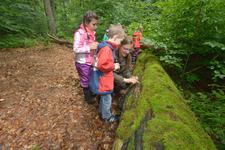 Den Herbst erleben im Nationalpark Hainich