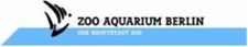 Hochinteressant und äußerst selten: Eine Gruppe Prachtröhrenaale im Zoo-Aquarium!
