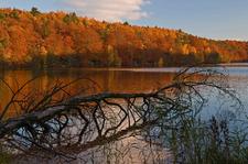 Kranichzug und Paddeltour: „Herzogs Naturschätze“ im Herbst erleben