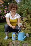 Frühjahrsputz im Gartenteich