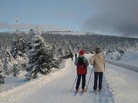 Naturerlebnisprogramm 2012 ist erschienen