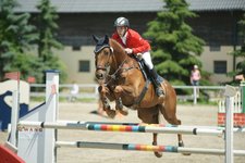 CSI* /Ch/J/YR Reuhof - CSI Reuhof Int Youngster Festival