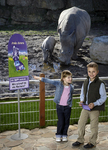 Milka Schmunzelhasen in Deutschlands Zoos