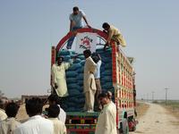Hilfe für pakistanische Flutopfer