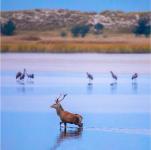 Natureum feiert 30 Jahre Nationalpark mit Freiluftausstellung
