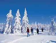 Winter in Mitterfirmiansreut in Bayern