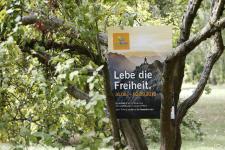Wo wandern schön ist