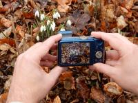 Fotowettbewerb des Nationalparks Hainich läuft nur noch wenige Tage