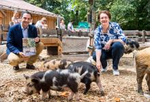 Tierpark Hellabrunn zieht Bilanz: Vorstellung des Geschäftsberichts 2019