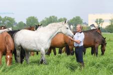 1st Sosath Online Auction in August!
