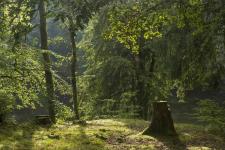 Der Saarland-Radweg in Etappen: Das St. Wendeler Land