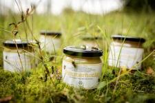 Bienen bei burgbad