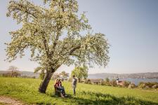 Frühlingsfrisch, bunt, unterhaltsam: Ostererlebnisse in Konstanz 2020