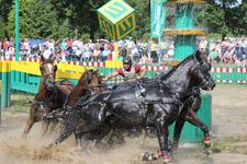 Michael Brauchle gewinnt Internationales Deutsches Fahrderby - Deutschland siegt im Zweispänner-Nationenpreis
