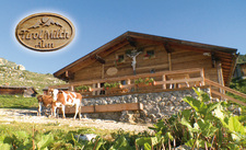 Erste Milch-Alm live im Internet