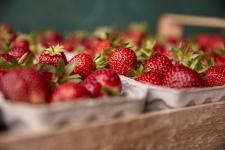 Es geht los: Die Themenwochen "So schmeckt die Südpfalz 2021" zum Thema "Spargel und Erdbeeren" haben begonnen!
