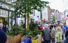 Kreideblumen und ein rosiger Täufling beim Stadtgärten-Aktionstag