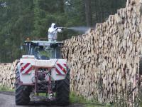 Holzpolter vor Borkenkäfer schützen - Aufgabe für Experten