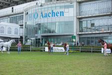 1. Sosath Online-Auktion