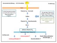 Jetzt mit Vit. D plus Vit K2 Ergänzung starten
