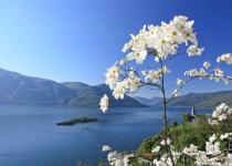 Die schönsten Frühlingswanderungen im Tessin