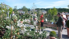 Durch dick und dünn mit meinem Obstbaum