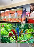 CES 2012: LG stellt weltweit größten OLED-TV vor