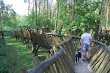 Hundetag im Güstrower Wildpark-MV