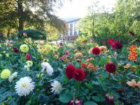 Die Gartenschau lädt zur Dahlienwahl