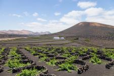 Lanzarotes bizarrer Charme - Mit alltours auf die Insel der Gegensätze reisen