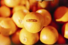 COINTREAU feiert 170-jähriges Jubiläum - mit Orangen-Aromen zur Ikone